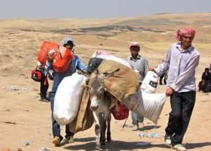Syrian refugees crossing the border into Iraq's Kurdish region, transporting their goods and belongings using a donkey. © Diala Ghassan/MSF
