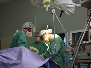 © MSF/MalakShaher