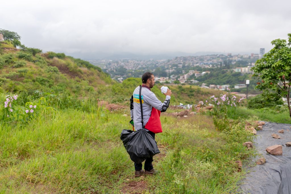 Each releaser carried 20 jars containing the Wolbachia-carrying mosquitoes. Daily releases were carried out for six months. In total, more than 8 million mosquitoes were released.