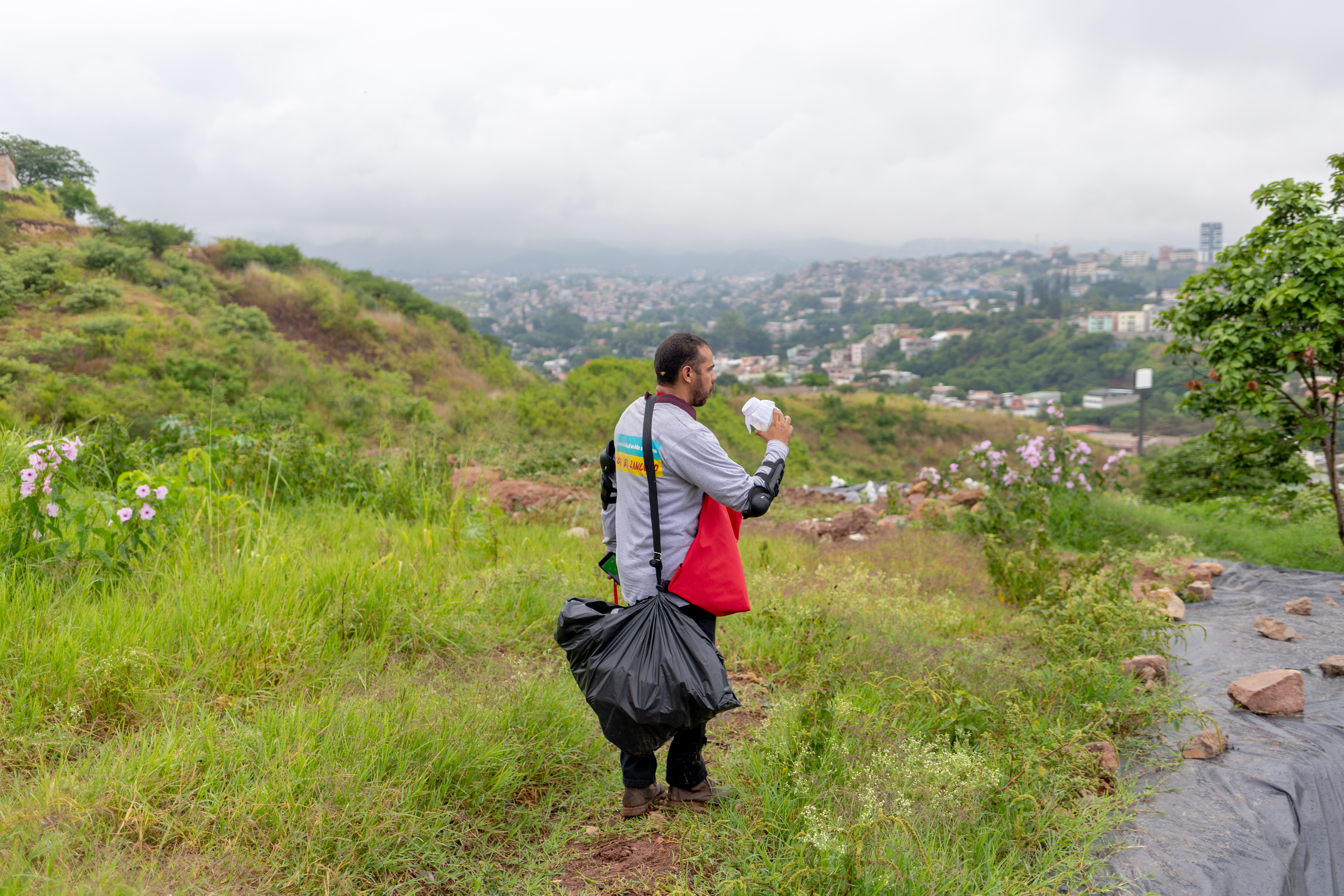 Each releaser carried 20 jars containing the Wolbachia-carrying mosquitoes. Daily releases were carried out for six months. In total, more than 8 million mosquitoes were released.