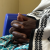Sexual Violence in Eastern DRC: A Persistent Emergency