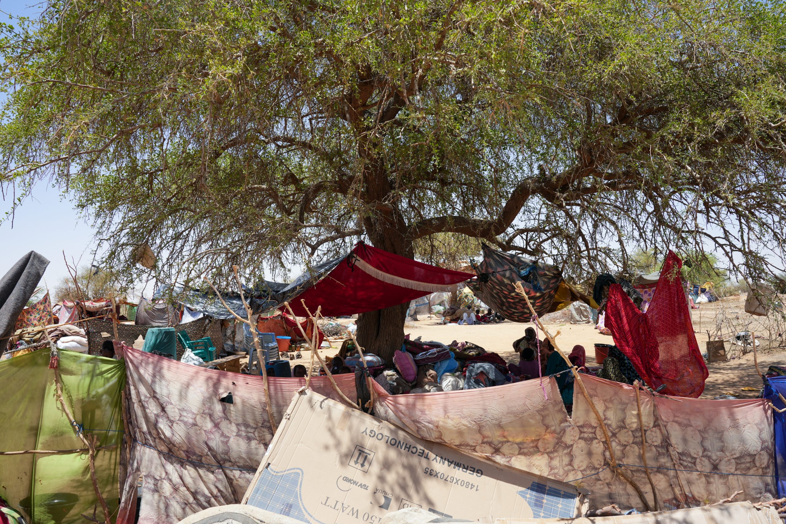 People fleeing the violence in Sudan arrive in Chad with barely anything. Women usually use their own left toub (Sudanese women’s clothes) to preserve a bit of privacy. The few trees around Oure Cassoni camp provide much-needed shade. ©️ Julie David de Lossy/MSF