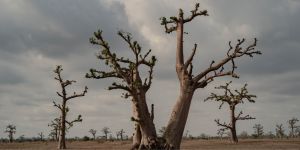At COP 30, MSF calls for concrete actions to address the health impacts of climate change on populations in situations of vulnerability