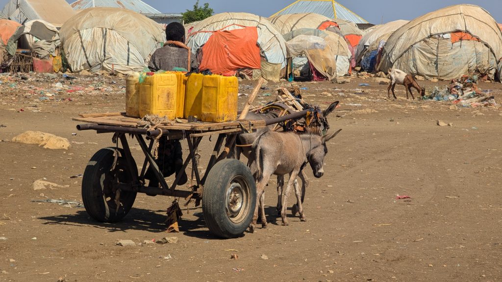 Drought Emergency In Somalia