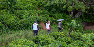 MSF Responds to Cyclone Ditwah in Sri Lanka’s Central Highlands