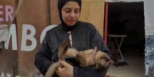 Lebanon: “They stayed” - a healthcare system strained after 46 days of bombardment