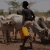 Drought and displacement push millions to the brink in Somalia and Ethiopia’s Somali Region